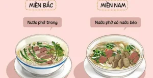 Phở Sài Gòn khác gì Hà Nội? So sánh hương vị, nguyên liệu và phong cách thưởng thức